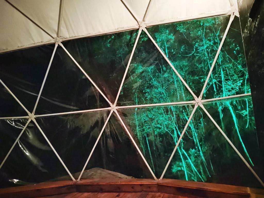 Domo da Mata — foto 3 · glamping em Juquitiba, SP